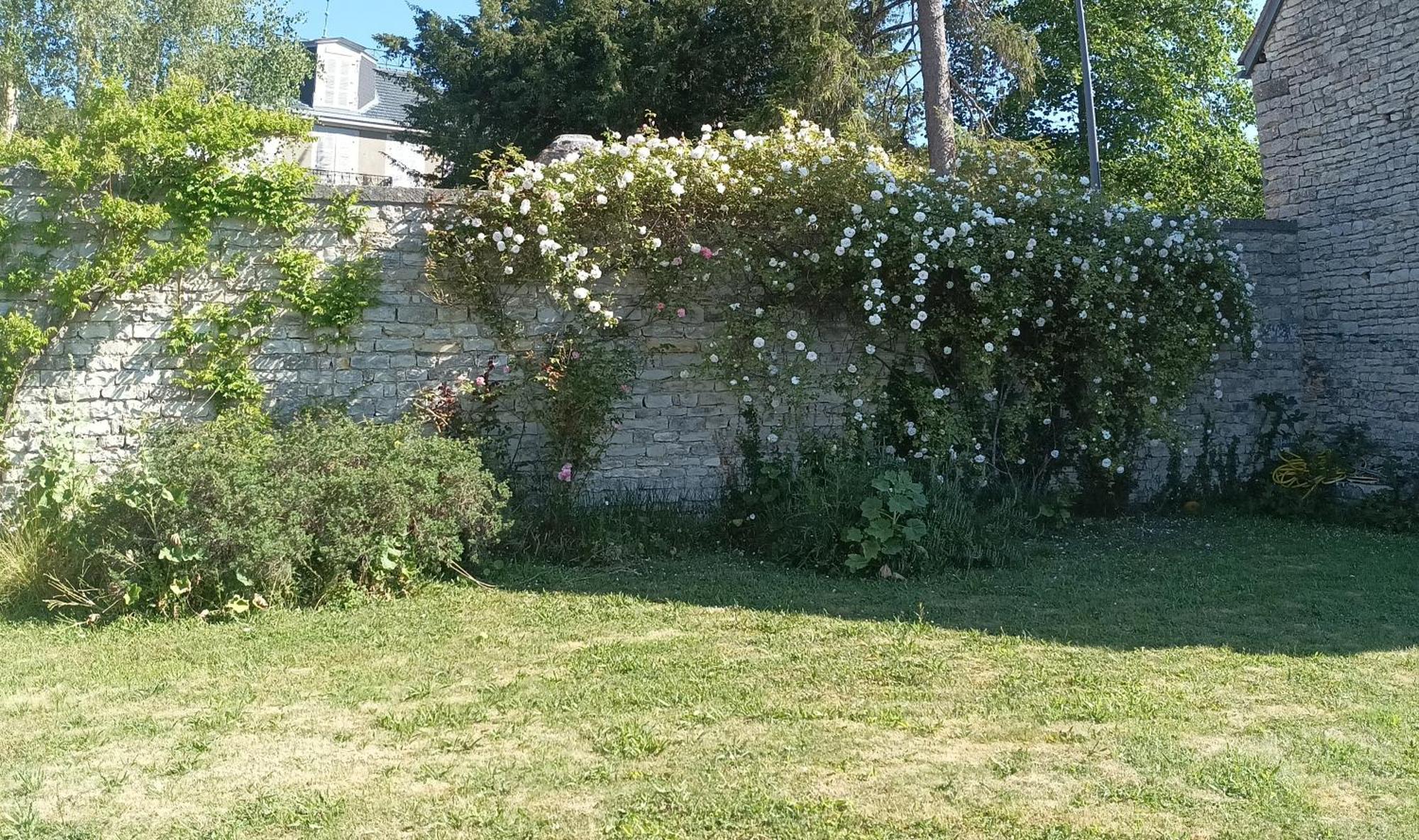 Chez Zaza Bed & Breakfast Stigny Exterior photo